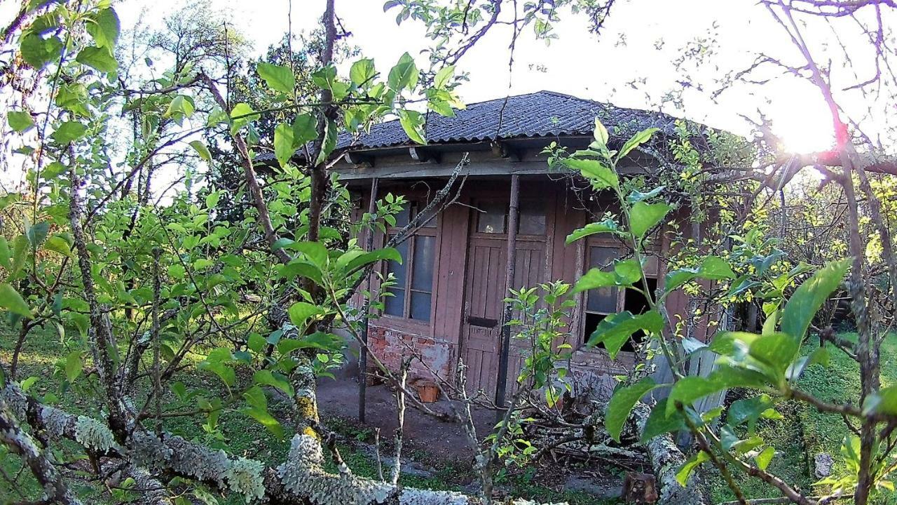 Surmava Palace Martvili Exterior foto